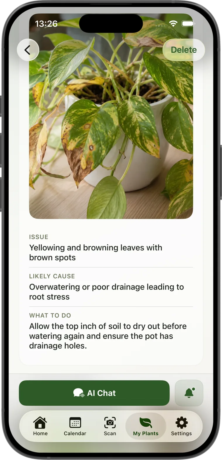 Plant Identifier health check result